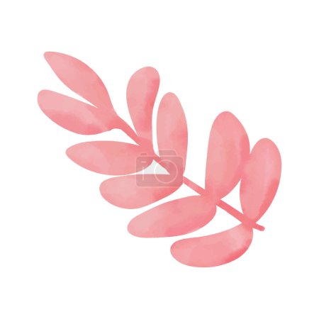 Foto de Sandía de hoja rosa aislada sobre fondo blanco - Imagen libre de derechos