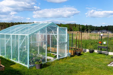 Backyard greenhouse made of foil standing on the grass behind the house