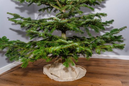 Un árbol de Navidad hecho de abeto caucásico sin decoraciones de pie en el salón de una casa moderna.