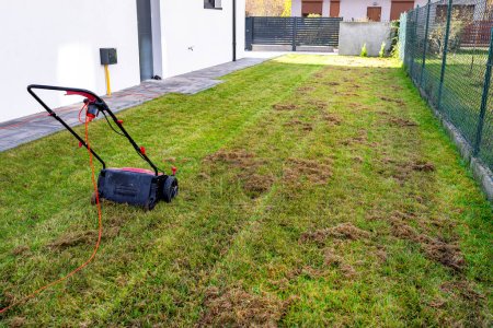 Photo for Scarifying the lawn before the winter season using an electric scarifier. - Royalty Free Image