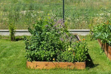 A wooden crate with various vegetables, standing on the grass in the garden.