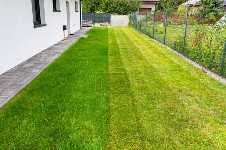 Rasenmähen mit einem elektrischen, motorisierten Rasenmäher, mit einer Schnittbreite von 44 cm, sichtbare gemähte Reihen.