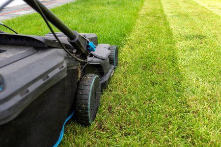 Photo for Mowing grass with an electric, powered mower, with a cutting width of 44 cm, visible mown rows. - Royalty Free Image