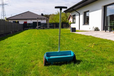 Photo for Fertilizing a young lawn with grass fertilizer in granules using a manual grass seeder. - Royalty Free Image