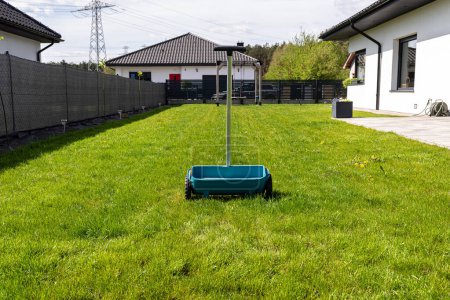Fertilizing a young lawn with grass fertilizer in granules using a manual grass seeder.