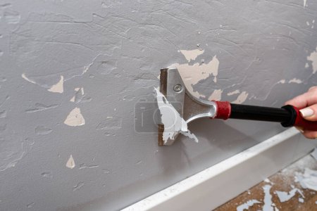 Enlever la peinture silicone d'un mur endommagé par des griffes de chien à l'aide d'un grattoir de peinture et d'adhésifs, les femmes sont visibles à la main.