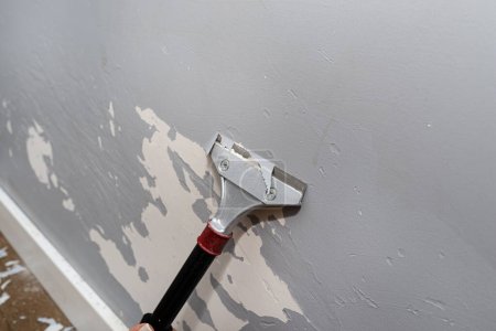 Quitar la pintura de silicona de una pared dañada por garras de perro utilizando una pintura y adhesivos raspador, las mujeres mano visible.