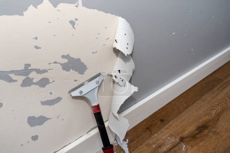 Quitar la pintura de silicona de una pared dañada por garras de perro usando un raspador de pintura y adhesivos.