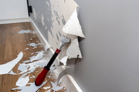 Quitar la pintura de silicona de una pared dañada por garras de perro usando un raspador de pintura y adhesivos.