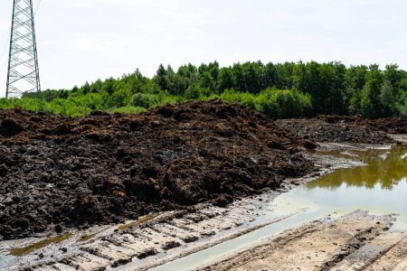 Digging out peat from marshy swamps, visible mountains made of peat.