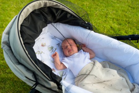 A Caucasian newborn baby sleeps in a baby stroller standing on the lawn in the garden