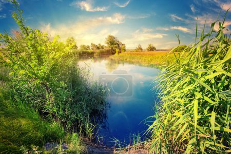 Photo for Blue lake or river with green reeds on the shore at sunset - Royalty Free Image