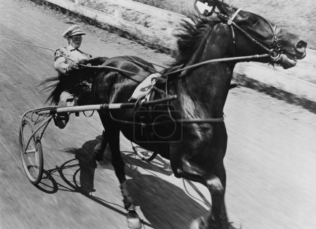 Foto de Joven conductor masculino con caballo durante las carreras de arnés en pista - Imagen libre de derechos