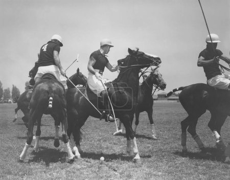 Téléchargez les photos : Joueurs masculins jouant au polo sur le terrain le jour ensoleillé - en image libre de droit