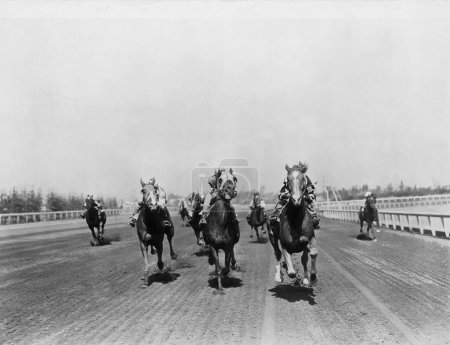 Foto de Jockeys montar a caballo durante la carrera en el día soleado - Imagen libre de derechos