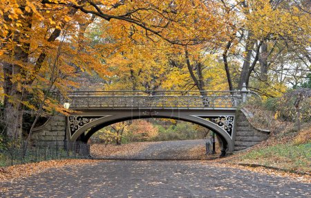 Téléchargez les photos : Pont no. 24 à Central Park, NYC - en image libre de droit