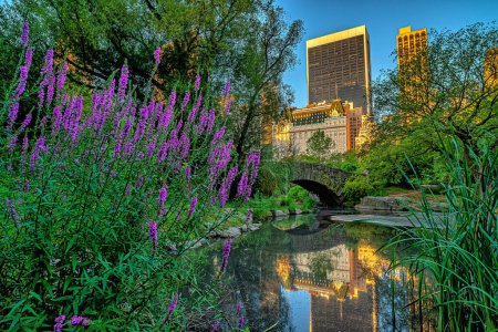 Photo for Gapstow Bridge in Central Park  in summer with flowers - Royalty Free Image