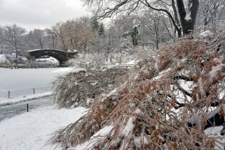 Photo for Gapstow Bridge in Central Park after snow storm in winter - Royalty Free Image
