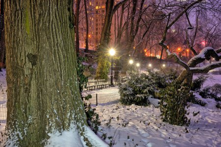 Photo for Central Park in winter during snow storm at night - Royalty Free Image