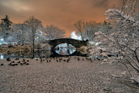 Photo for Gapstow Bridge in Central Park after snow storm in winter - Royalty Free Image