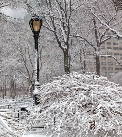 Téléchargez les photos : Central Park in winter during snow storm in early morning - en image libre de droit