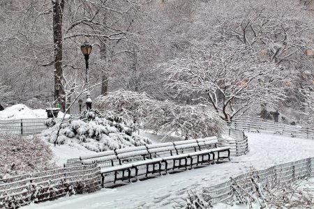 Photo for Central Park in winter during snow storm in early morning - Royalty Free Image