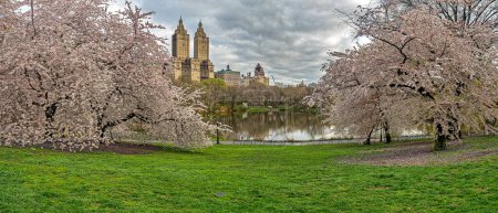 Téléchargez les photos : Spring in Central Park, New York City, early in the morning - en image libre de droit