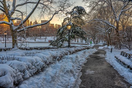Photo for Central Park in winter after snow storm in the early morning - Royalty Free Image