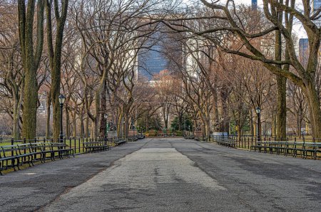 Téléchargez les photos : Central Park in winter , early morning with a view down the Mall - en image libre de droit