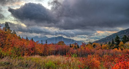 Photo for Landscape on The Kancamagus Highway - Royalty Free Image