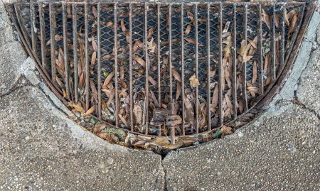Photo for Street drain on upper East Sise of New York City - Royalty Free Image