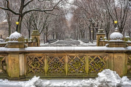 Téléchargez les photos : The Mall in Central Park, New York City the mogning after snowing - en image libre de droit