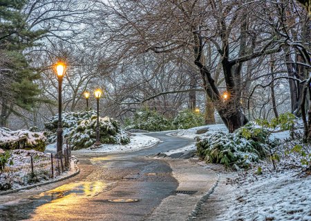 Photo for Central Park in winter, early morning after snowing in late Febuary - Royalty Free Image