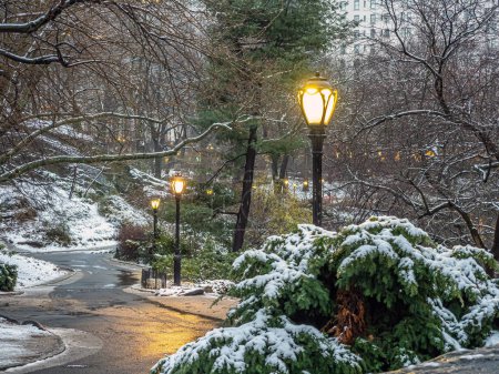 Téléchargez les photos : Central Park en hiver - en image libre de droit