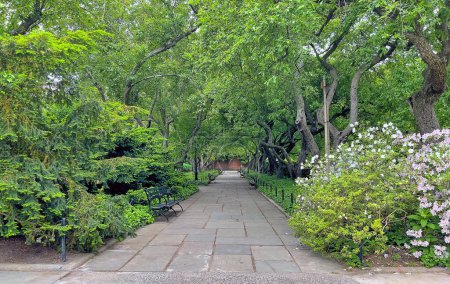 Photo for Conservatory Garden is a formal garden in the northeastern corner of Central Park, New York City - Royalty Free Image
