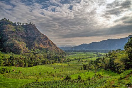 Landscape of the island of Bali Indonesia