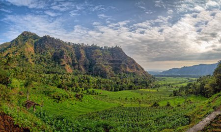 Téléchargez les photos : Paysage de l'île de Bali Indonésie - en image libre de droit