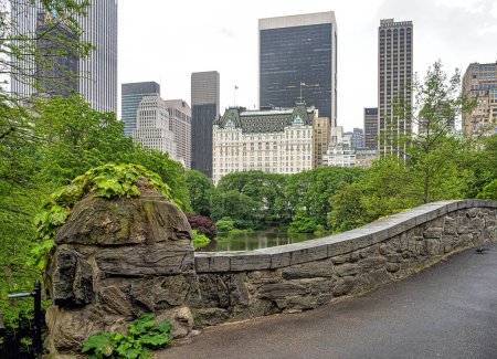 Téléchargez les photos : Pont Gapstow à Central Park au printemps par temps brumeux - en image libre de droit