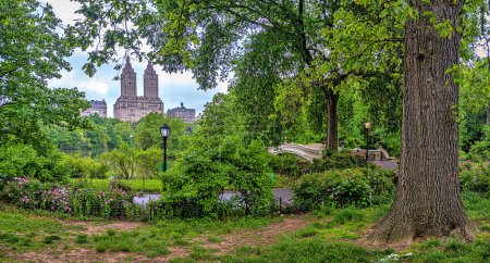 Téléchargez les photos : Pont de l'Arc, Central Park, New York, à la fin du printemps, le matin brumeux - en image libre de droit