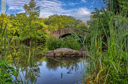 Photo for Gapstow Bridge in Central Park i summer with flowers and morning sky - Royalty Free Image