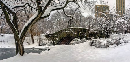 Téléchargez les photos : Pont Gapstow à Central Park après une tempête de neige tôt le matin - en image libre de droit