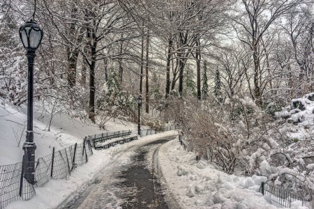 Foto de Central Park en invierno después de la tormenta de nieve - Imagen libre de derechos