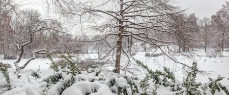 Foto de Central Park en invierno en el lago después de la tormenta de nieve - Imagen libre de derechos