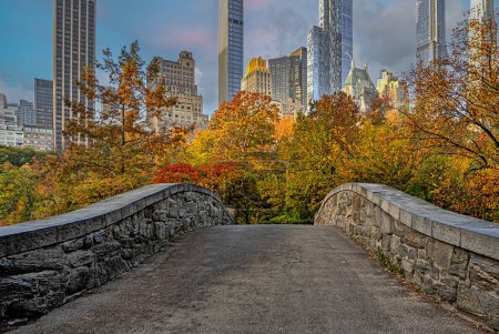 Téléchargez les photos : Pont Gapstow à Central Park, tôt le matin en automne - en image libre de droit