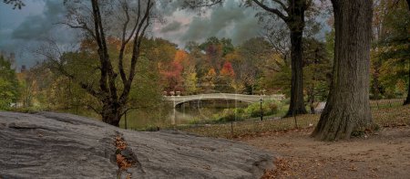 Téléchargez les photos : Bow bridge, Central Park, New York City in late autumn, early morning - en image libre de droit