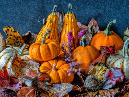 Photo for Autumn still life  with pumpkins and autumn leaves - Royalty Free Image