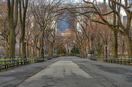Photo for The Mall in Central Park, New York City - Royalty Free Image