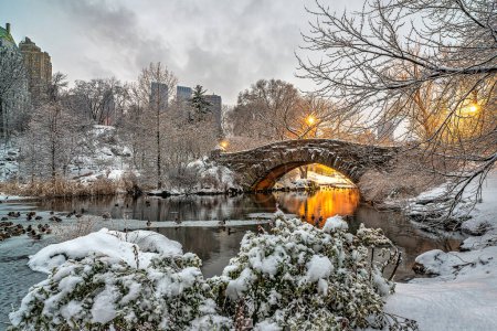 Téléchargez les photos : Pont Gapstow à Central Park en hiver après une tempête de neige - en image libre de droit