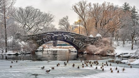 Téléchargez les photos : Pont Gapstow à Central Park pendant la tempête de neige - en image libre de droit