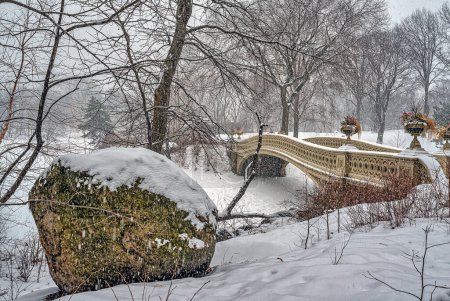 Téléchargez les photos : Pont de l'Arc, Central Park, New York - en image libre de droit